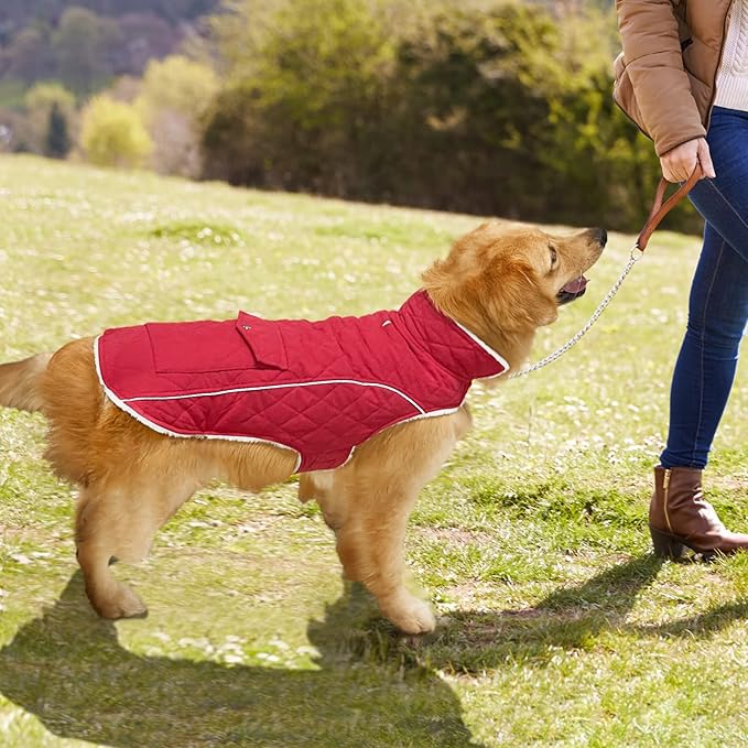 Malier Dog Winter Coat, Windproof Dog Cold Weather Coats with Real Pocket, Winter Extra Warm Pet Coat Fleece Jacket Reflective Clothes for Small Medium Large Dogs and Puppy (Red, X-Small)
