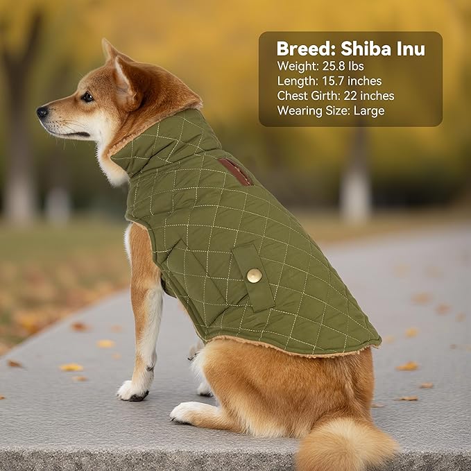 Dog Coat, Warm Winter Dog Waterproof Jacket for Medium Dogs, Fleece Lined Adjustable Dogs Coats Cold Weather Windproof Doggie Snowsuit with Leash Hole, Green X-Large