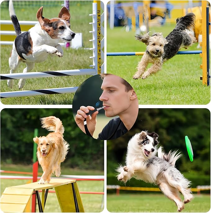 2 PCS Dog Whistles,Professional Recall Dog Training Whistle with Lanyard,Adjustable Ultrasonic Silent Dog Recall Whistles,Dog Whistle to Stop Barking Neighbors Dog,Dog Barking Stopper (Black+Black)