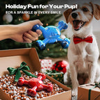 Dog Chew Toys for Aggressive Chewers – Indestructible Nylon Bone for Puppy Teething,Tough Chew Toy for Small Dogs, Bacon Flavor and Outdoor Fun, Skull Design
