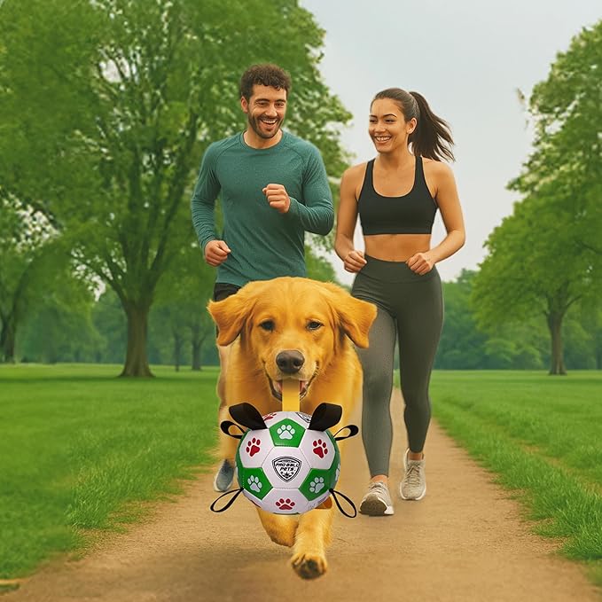 ProBall Pets Interactive Dog Soccer Ball with Grab Tabs - Floats on Water, Fetch & Training Toy for Small Medium Dogs, Herding Breeds - Waterproof Non-Toxic - 6" Green Red