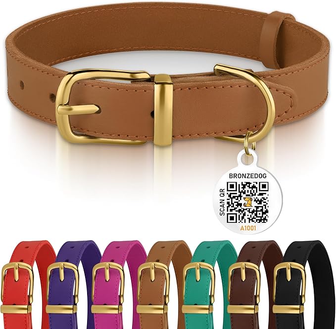 BRONZEDOG Leather Dog Collar with Metal Buckle Durable Basic Pet Collars for Small Medium Large Dogs (13-16 Inch (Pack of 1), Light Brown & Gold Buckle)