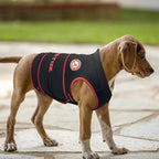 NCAA Alabama Crimson Tide Dog Anxiety Calming Shirt Soothing Vest, Dogs Cats with Anxiety, Fears, Fireworks, Loud Noises, Dark, Lonely Keeps Dogs Calm & Feeling Safe, Relaxing Jacket, X-Small