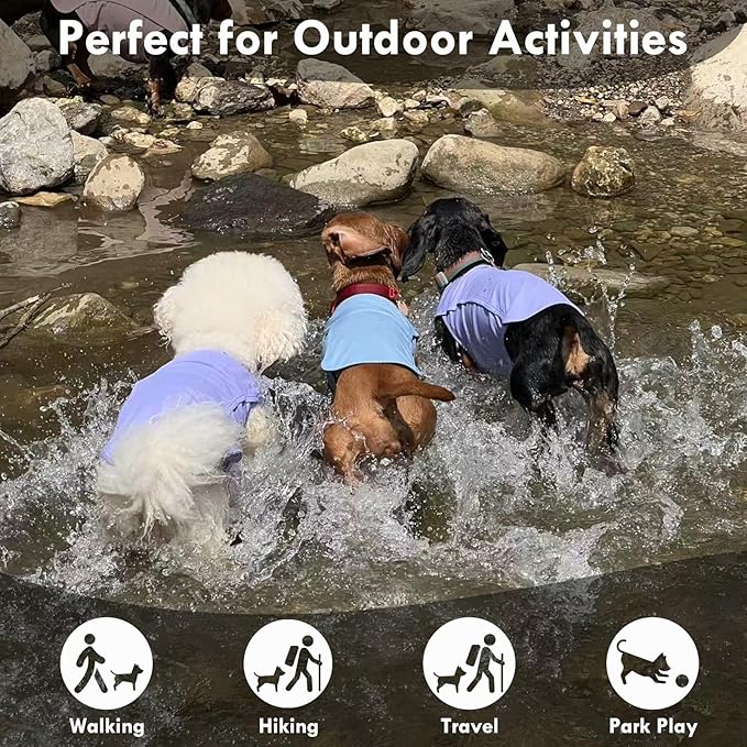 2 Pack Dog Shirt, Quick Dry Cooling T-Shirt for Summer Hot Day, Lightweight Sun Protection Dog Clothes for Boy Girl Easy to Put on, Purple+Pink, XL