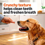 Amazon Basics Multi Flavor Biscuits Dog Treats 5 lb. Box
