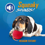 Nerf Dog Classic Squeak Ball Outdoor Dog Toy, 3.8 Inch Dog Ball Fetch Toy, Squeaking Toy for Medium and Large Breeds, Green/Red, 2 Count