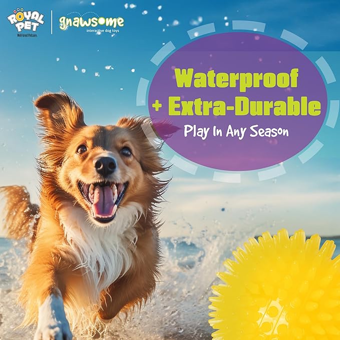 Gnawsome™ 3.5” Spiky Squeak & Light Ball Dog Toy - Medium, Cleans Teeth and Promotes Good Dental and Gum Health for Your Pet, Colors will vary, 3.5"