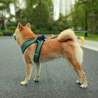 Best Pet Supplies Voyager Step-in Air Harness - All Weather Mesh, Reflective, No Pull Harness for Dogs, Cats - Secure with Hook & Loop Fastener, Buckle, Double D-Rings - Tone, L