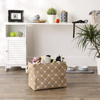 Bone Dry Pet Storage Paw and Bone, Trellis Collection, Medium Rectangle, 16x10x12, Taupe