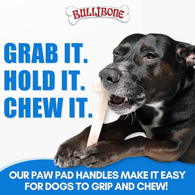 Bullibone Nylon Dog Chew Toy Nylon Bone - Improves Dental Hygiene, Easy to Grip Bottom, and Permeated with Flavor (Beef, Small - Single)