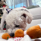 Holiday Plush Pet Toy Fun for Christmas Designs with Squeaker Dog Chew Toy (9" Gingerbread 2 Pcs)