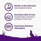 Wellness Complete Health Sensitive Skin & Stomach Dry Dog Food, Wholesome Grains, Salmon & Rice Recipe, (38-Pound Bag)