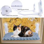 YUNIQUE Cat Window Perch, Upturned Edge Bracket, Portable Wall Hammock for Indoor Cat, Green