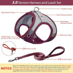 AIITLE Easy Walk Dog Harness and Leash Set - Pet Supply No Pull, Step in Adjustable Pet Harnesses with Padded Vest for Summer, No Choke Over, Easy to Put on Medium Dogs Burgundy L