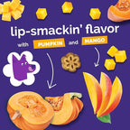 Fruitables Skinny Minis Dog Treats, Healthy Pumpkin Treat for Dogs, Low Calorie & Delicious, Puppy Training, No Wheat, Corn or Soy, Made in the USA, Pumpkin and Mango Flavor, 5oz