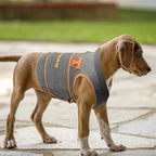 NCAA Tennessee Volunteers Dog Shirt Calming Soothing Vest for Dogs Cats with Fears, Fireworks, Loud Noises, Dark, Lonely Keeps Dogs Calm Feeling Safe, Relaxing Jacket Large