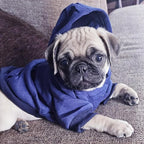 Jecikelon Winter Dog Hoodie Sweatshirts with Pockets Warm Dog Clothes for Small Dogs Chihuahua Coat Clothing Puppy Cat Custume (Navy, Small)