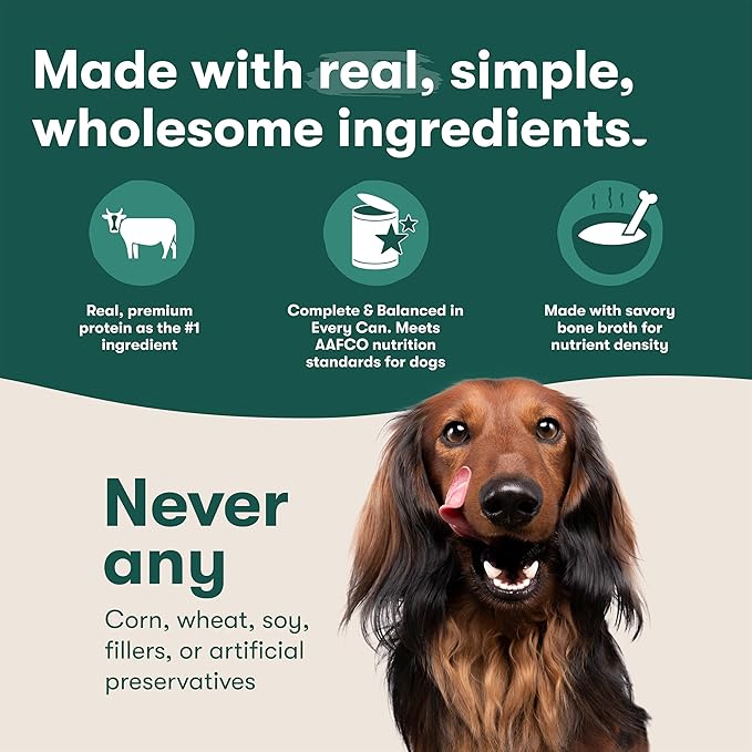 Jinx Bone Broth Stew for Dogs, Variety Pack - Chicken & Salmon Recipes - Grain-Free Wet Dog Food & Topper for Picky Eaters - Promotes Lean Muscle Growth, Healthy Coat & Digestion - 13 Oz, 12 Pack