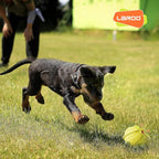 LaRoo Squeaky Dog Ball Toy,Durable Natural Rubber Squeaker Ball Throwing Training,Teeth Cleaning Chew Toy for Pet Medium and Large Dogs (3.5In Green)