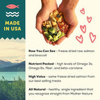 A Better Dog Food | Salmon Dry Dog Food | Raw You Can See | High Protein Kibble + Freeze Dried Raw Dog Food