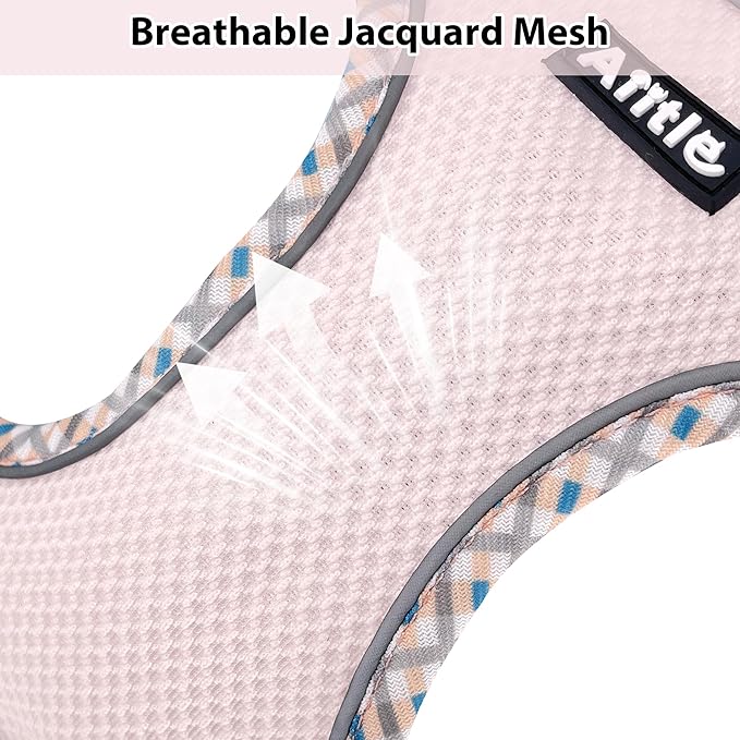 AIITLE Dog Harness and Leash Set - Ultra-Comfortable XXS-XL Vest with Strong Magic Tape & Glow-in-Dark Reflective Strips, Chafe-Free for Teddy, Schnauzer (Blue-Pink, M)