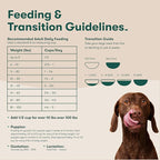 Jinx Premium Dry Dog Food, for All Lifestages - Real Beef, Brown Rice & Sweet Potato Kibble with Superfoods for Immune Support & Probiotics for Digestive Support - No Fillers - 4lb