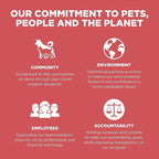 Go! Solutions Sensitivities Limited Ingredients, Grain-Free Dry Dog Food, Salmon Recipe for Sensitive Stomach, 22 lb Bag