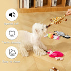 Hollypet Soft Squeaky Dog Toys, Plush No - Mess Chew Toys for Small and Medium Dogs and Non-Aggressive Chews, Puppy Teeth Cleaning Chew Toys, 5 Animal