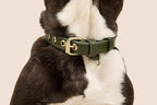 Two Tails Pet Company Cactus Vegan Leather Dog Collar, Adjustable Pet Collar with Gold Hardware and D Rings for Leash and ID Tag for Dogs and Puppies, Easy to Clean & Eco Friendly, Green, Size Large