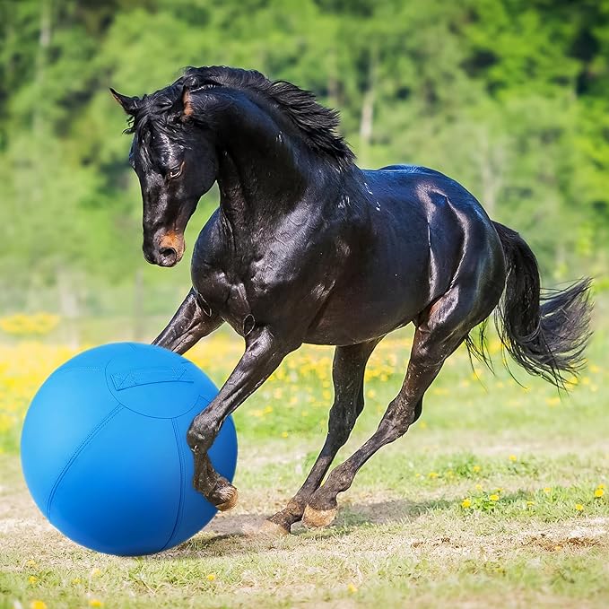 Herding Ball for Dogs - 25" Medium Herding Ball with Anti-Burst Cover and Pump, Outdoor Dog Exercise Toy for Australian Shepherd, German Shepherd, Collie (Blue)