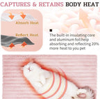 NWK Pack of 4 Fluffy Self Warming Cat Mat, Cat Blanket, Thermal Dog Mat, Washable, Non-Slip Bottom for Sofa & Crate & Kennel & Car Seat (Blush Pink, Small (19'' X 15'' X 0.7''))