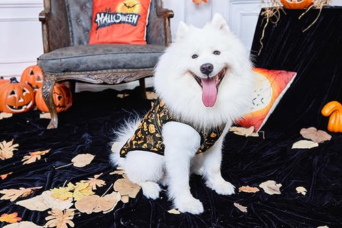 Aiboria Winter Dog Coat Windproof Fleece Jacket with Chest Strap Dog Vest Harness Halloween Black XXL