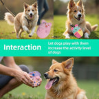 20 Pack Puppy Squeaky Dog Toys Set Plush Puppies,Cute Chew Pets Dog Toy with Squeakers for Small Dogs Playtime