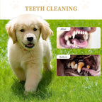 Dog Rope Toys for Small Aggressive Chewers, Tough Cotton Chew Toy, 16in Indestructible, Tug of War Dog Pull Rope Teeth Cleaning(2 pack-16Inch)