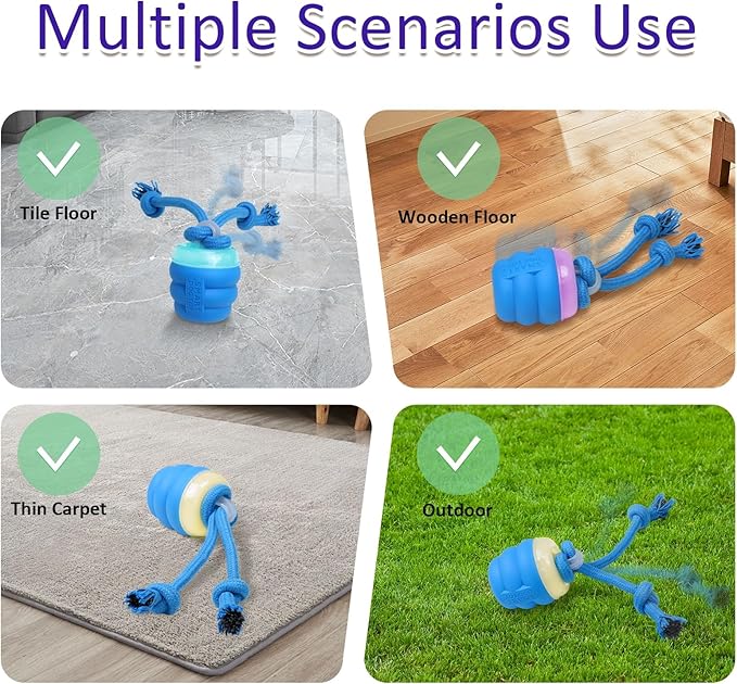Interactive Dog Toys with Motion Activated, Squeaky Dog Toy Active Rolling Ball Wicked Ball for Daily Training