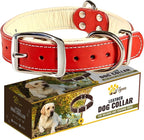 ADITYNA Heavy-Duty Leather Dog Collar for Medium Dogs - Soft Padded for Comfort - Red Dog Collar for Walking, Training, and Hiking