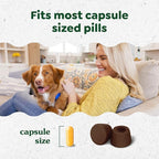 Greenies Pill Pockets for Dogs Large Size, Soft Dog Treats, Hickory Smoke Flavor, 15.8 oz. Pouch (60 Treats)