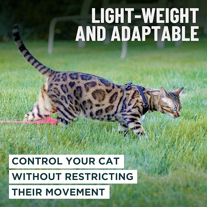 Houdini™ Escape Proof Cat Harness and Leash Set by OutdoorBengal – Turquoise, Large Cat Harness for Walking Big Cats