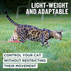 Houdini™ Escape Proof Kitten Harness and Leash Set by OutdoorBengal – Turquoise, Small Cat Harness for Walking