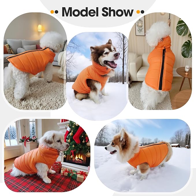 Medium Dog Jacket with Zipper, Hunter Orange Dog Coats for Medium Dogs, Warm Waterproof Winter Snow Puffer Vest for French Bulldog, Boston Terrier, Cocker, Beagle, Orange M