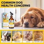 Yeast Infection Treatment for Dogs, Natural Yeast Infection Treatment Drops for Dog Itch Relief, Dog Allergy Relief, Dog Yeast Ear Infection Treatment, 2.02fl.oz