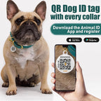 BRONZEDOG Leather Dog Collar with QR ID Tag Basic Pet Collars for Small Mini Dogs Cats Puppies (7-9 Inch (Pack of 1), Green & Gold Buckle)