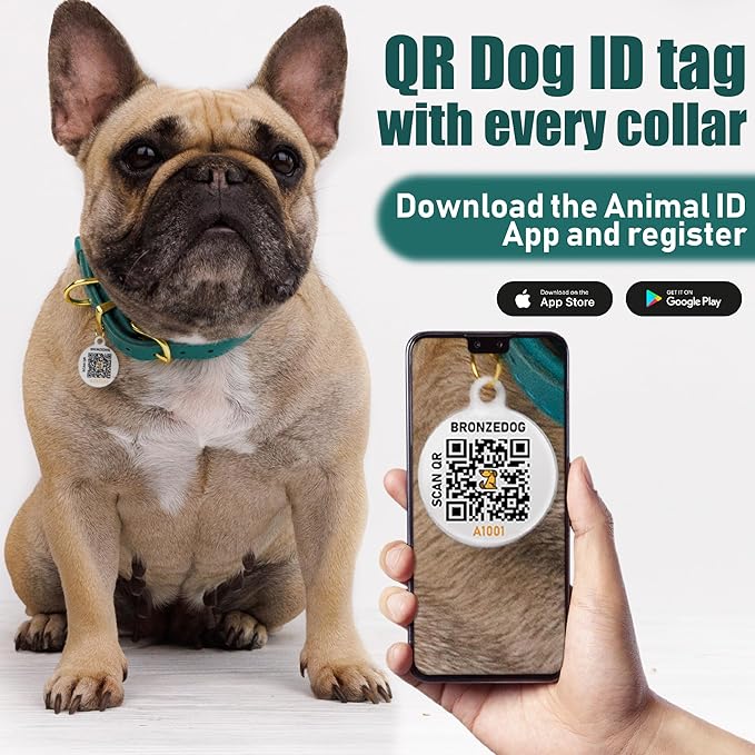BRONZEDOG Leather Dog Collar with QR ID Tag Basic Pet Collars for Small Mini Dogs Cats Puppies (7-9 Inch (Pack of 1), Dark Brown & Gold Buckle)