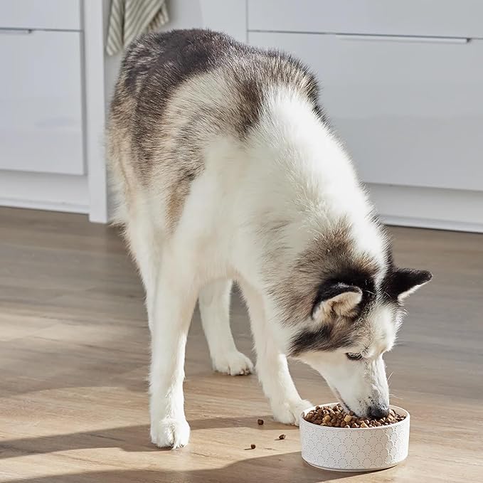Open Farm, RawMix Dry Dog Food with Ancient Grains, Protein-Packed Kibble Coated in Bone Broth with Freeze Dried Raw Chunks, Beef Pork & Lamb, Front Range Recipe, 20lb Bag