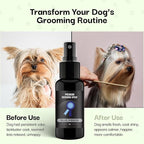 605Products Premium Dog Cologne & Odor Eliminator - Long Lasting Puppy Perfume, Deodorant & Grooming Spray with Essential Oils, (2oz) Blue Ribbon