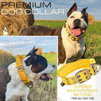 ADITYNA Heavy Duty Dog Collar for Medium Dogs - Reflective Yellow Collar with Handle for Training, and Walking - Wide, Thick, Tactical, Soft Neoprene Padded