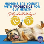 Himalayan Dog Chew Yogurt Sticks, Yogurt, Dog Treats with Prebiotics, Probiotics & Protein, Digestive Support, Lactose & Gluten Free, Natural Dog Treat for All Breeds, Made in America, 4pk