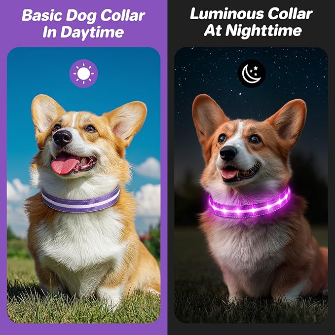 PcEoTllar Light Up Dog Collars, Led Dog Collar, Rechargeable, Night Walking, Waterproof, Glow in The Dark Dog Collars Light for Large Small Medium Dogs, Purple m