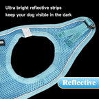 YIMEIS Dog Harness and Leash Set, No Pull Soft Mesh Pet Harness, Reflective Adjustable Puppy Vest for Small Medium Large Dogs, Cats (Sky Blue, Medium (Pack of 1)