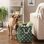 Bone Dry Pet Storage Collection Paw and Bone Print, Large Rectangle, 17.5x12x15 Hunter Green Trellis